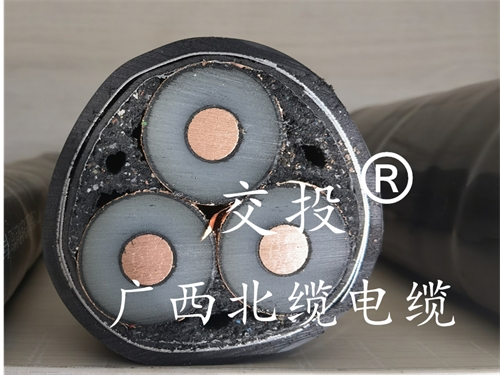 广西电缆厂铝合金电缆的介绍当苦衷项