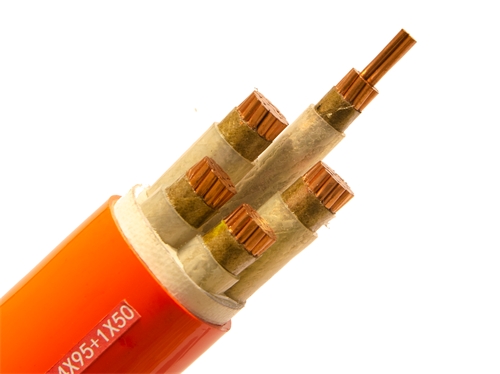 广西电线电缆厂：矿物质电缆是什么？